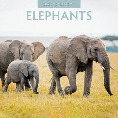 Cover Elephants 2025 Square Wall Calendar