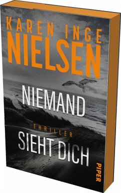 Niemand sieht dich / Grenzland Bd.2 - Nielsen, Karen Inge