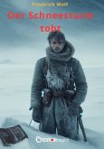 Der Schneesturm tobt (eBook, ePUB)