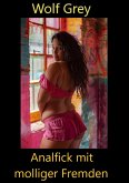 Analfick mit molliger Fremden (eBook, ePUB)