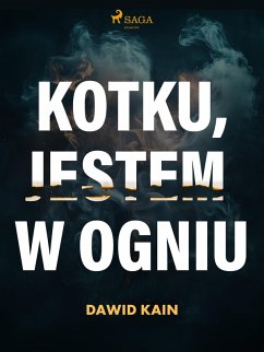 Cover Kotku jestem w ogniu (eBook, ePUB)