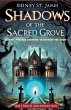 Shadows of the Sacred Grove - Journey... - Bild 1