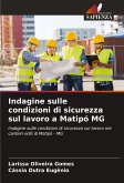 Indagine sulle condizioni di sicurezza sul lavoro a Matipó MG Indagine sulle condizioni di sicurezza sul lavoro a Matipó MG