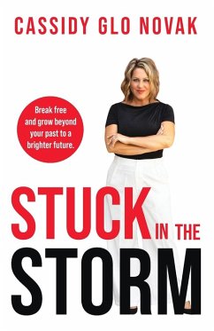 Stuck in the Storm - Novak, Cassidy Glo