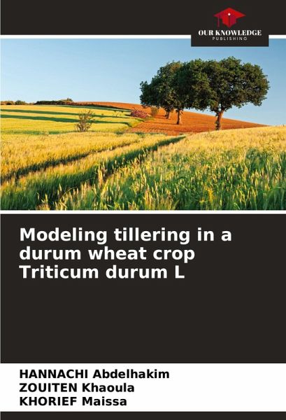 Modeling tillering in a durum wheat crop Triticum durum L Modeling tillering in a durum wheat crop Triticum durum L