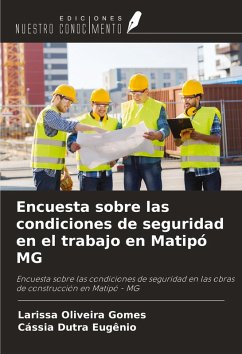 Cover Encuesta sobre las condiciones de seguridad en el trabajo en Matipó MG