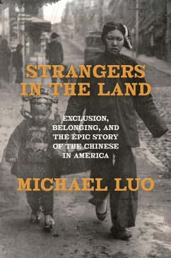 Cover Strangers in the Land