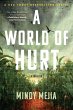 A World of Hurt - Bild 1