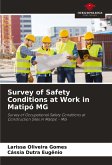 Survey of Safety Conditions at Work in Matipó MG Survey of Safety Conditions at Work in Matipó MG