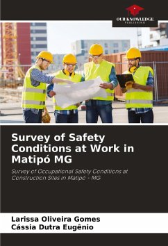 Survey of Safety Conditions at Work in Matipó MG - Oliveira Gomes, Larissa;Dutra Eugênio, Cássia