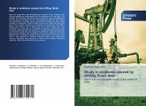 Study in problems caused by drilling fluids loss Study in problems caused by drilling fluids loss
