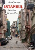 Istanbul in kleinen Geschichten (eBook, ePUB)
