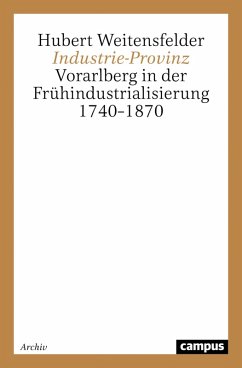 Cover Industrie-Provinz (eBook, PDF)