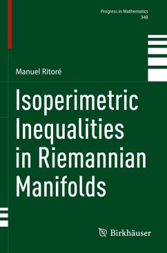 Isoperimetric Inequalities in Riemannian Manifolds - Ritoré, Manuel