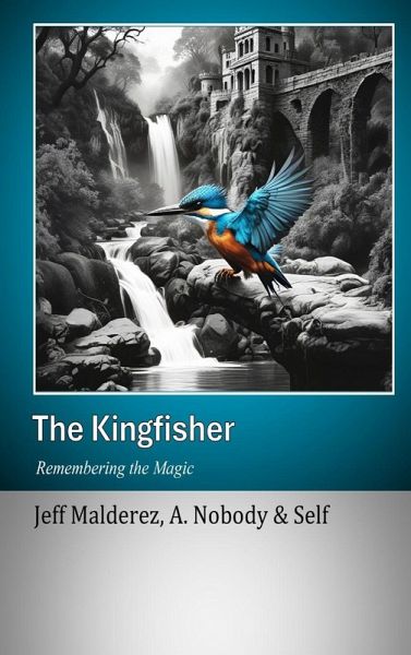 The Kingfisher The Kingfisher