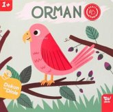 Orman;Dokun Ve Dinle Sesli Kitabim Orman;Dokun Ve Dinle Sesli Kitabim