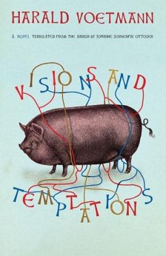 Cover Visions and Temptations
