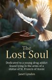 The Lost Soul The Lost Soul