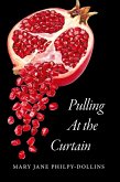 Pulling At the Curtain Pulling At the Curtain