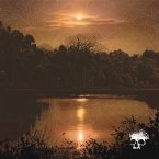 Do You Still Love Me? Do You Still Love Me?