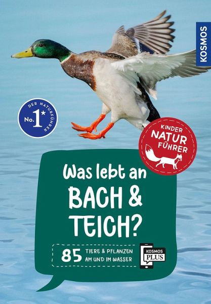 Was lebt an Bach und Teich? Kindernaturführer Was lebt an Bach und Teich? Kindernaturführer