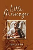 Little Messenger Little Messenger