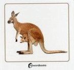 Animales salvajes y sus crias