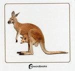 Cover Animales salvajes y sus crias