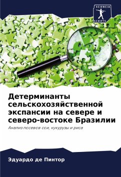 Cover Determinanty sel'skohozqjstwennoj äxpansii na sewere i sewero-wostoke Brazilii