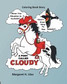 A Pony Called Cloudy A Pony Called Cloudy