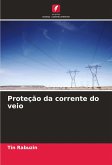 Proteção da corrente do veio Proteção da corrente do veio
