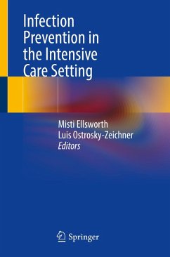 Infection Prevention in the Intensive Care Setting (eBook, PDF)