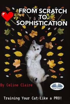 Cover From Scratch To Sophistication (eBook, ePUB)