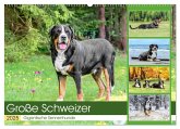 Große Schweizer - Gigantische Sennenhunde (Wandkalender 2025 DIN A2 quer), CALVENDO Monatskalender Große Schweizer - Gigantische Sennenhunde (Wandkalender 2025 DIN A2 quer), CALVENDO Monatskalender