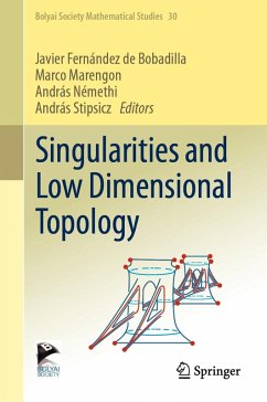 Singularities and Low Dimensional Topology (eBook, PDF)