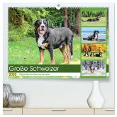 Große Schweizer - Gigantische Sennenhunde (hochwertiger Premium Wandkalender 2025 DIN A2 quer), Kunstdruck in Hochglanz Große Schweizer - Gigantische Sennenhunde (hochwertiger Premium Wandkalender 2025 DIN A2 quer), Kunstdruck in Hochglanz