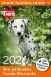 Hunde Tageskalender 2026 - Bild 1