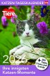 Katzen Tageskalender 2026 - Bild 1