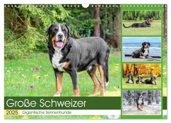 Große Schweizer - Gigantische Sennenhunde (Wandkalender 2025 DIN A3 quer), CALVENDO Monatskalender - Calvendo;K. Fotografie, Jana