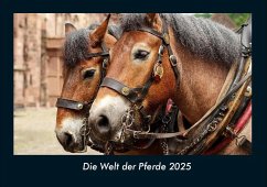 Cover Die Welt der Pferde 2025 Fotokalender DIN A4