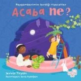 Peygamberimin Sevdigi Yiyecekler Acaba Ne Peygamberimin Sevdigi Yiyecekler Acaba Ne