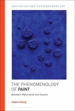 Cover The Phenomenology of Paint