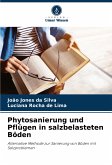 Phytosanierung und Pflügen in salzbelasteten Böden