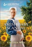 The Amish Baby Scandal The Amish Baby Scandal