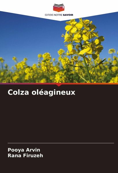 Colza oléagineux
