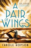 A Pair of Wings A Pair of Wings