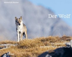 Cover Der Wolf