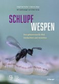 Schlupfwespen Schlupfwespen
