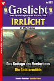 Die Geistermühle (eBook, ePUB)
