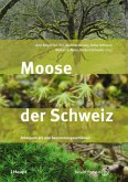 Moose der Schweiz Moose der Schweiz